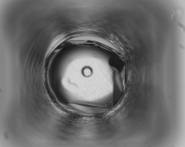 X0000096470101200802141707