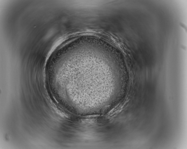 X0000096470102200802141707