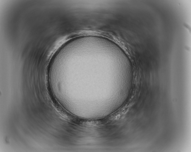 X0000096470103200802141707