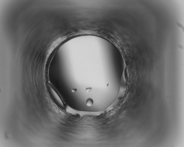 X0000096470104200802141707