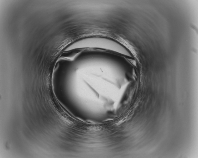 X0000096470105200802141707