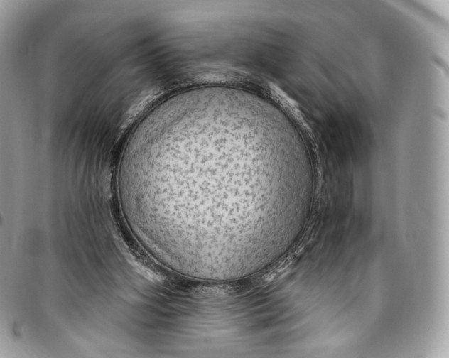 X0000096470106200802141707