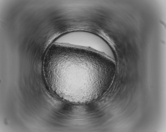 X0000096470107200802141707