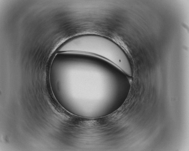 X0000096470108200802141707