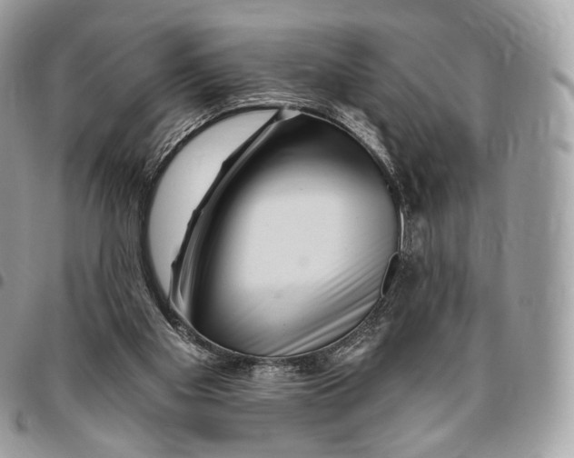 X0000096470109200802141707