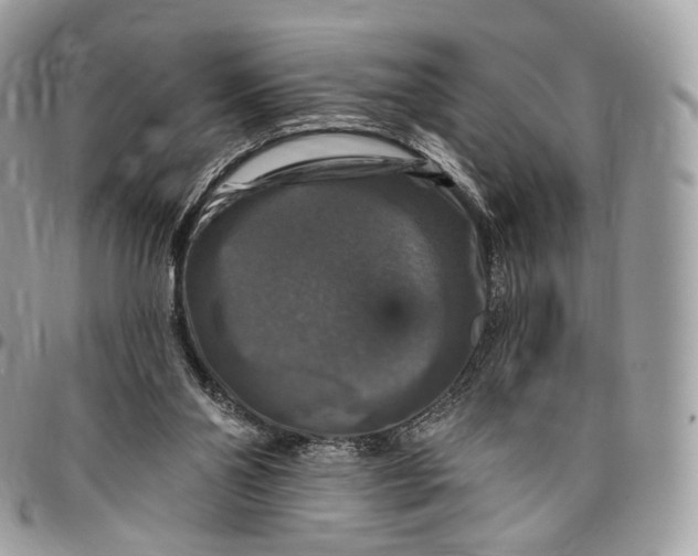 X0000096470110200802141707