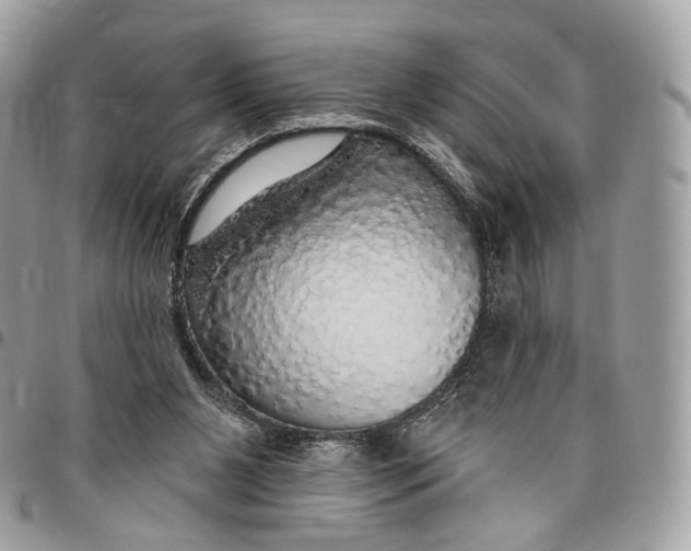 X0000096470111200802141707