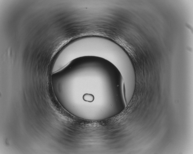 X0000096470112200802141707