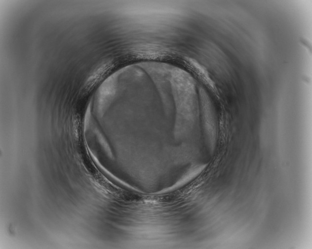 X0000096470114200802141707