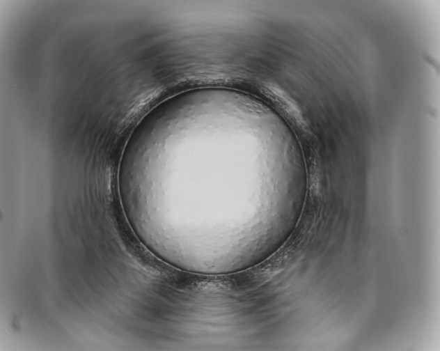 X0000096470115200802141707