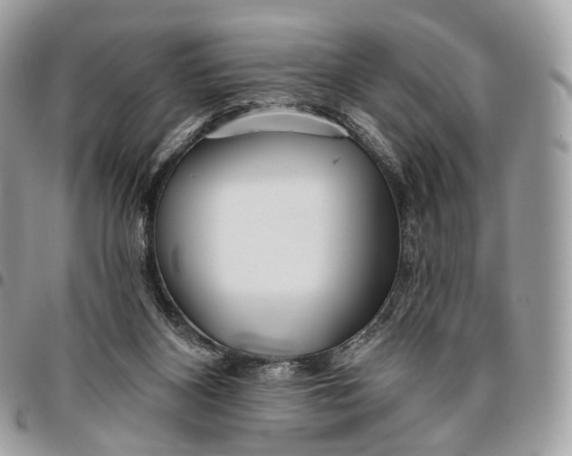 X0000096470116200802141707