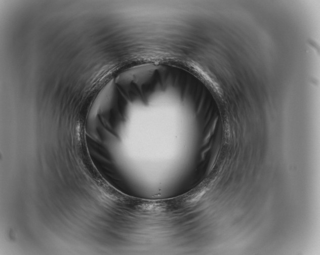 X0000096470117200802141707