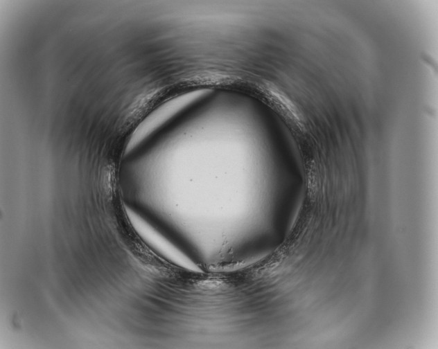 X0000096470119200802141707