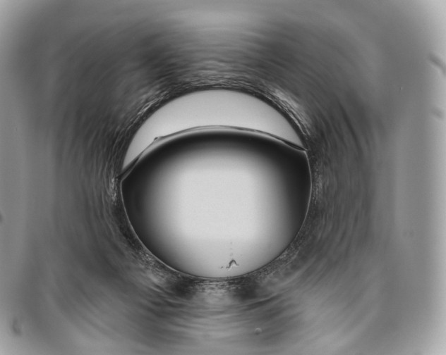 X0000096470121200802141707