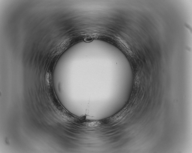 X0000096470122200802141707