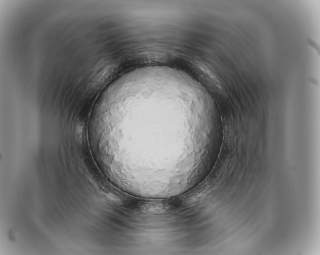 X0000096470123200802141707