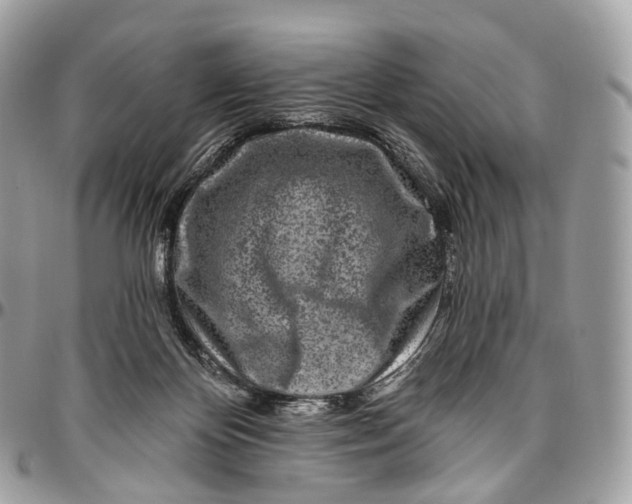 X0000096470124200802141707