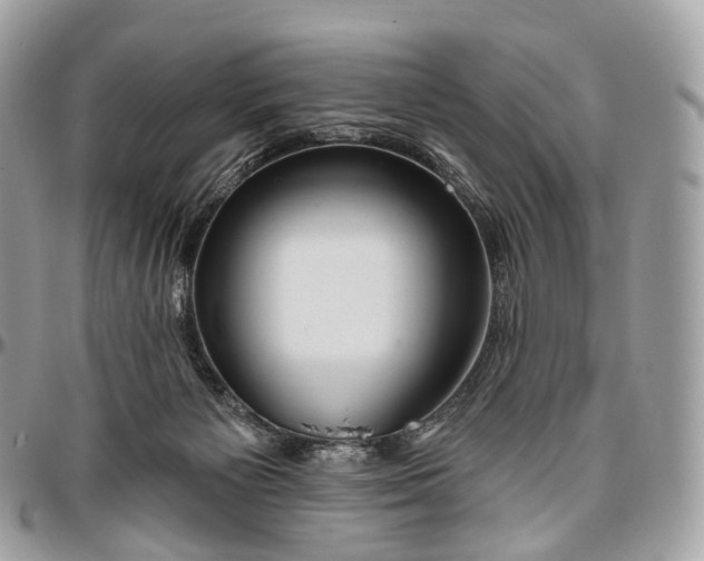 X0000096470125200802141707