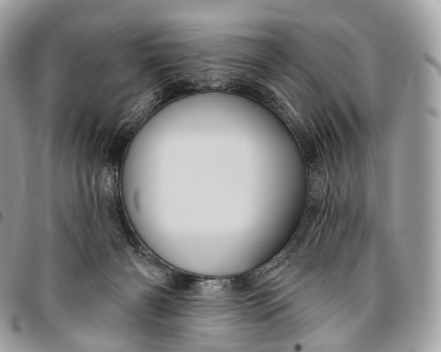 X0000096470126200802141707