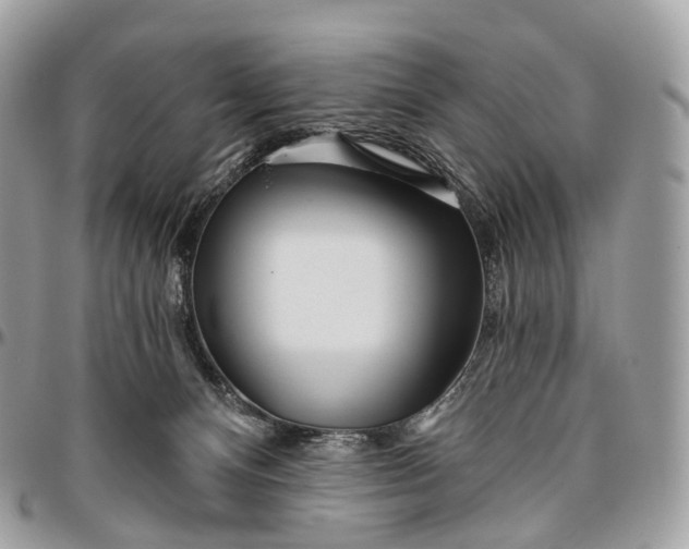 X0000096470128200802141707