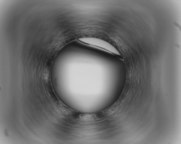 X0000096470129200802141707