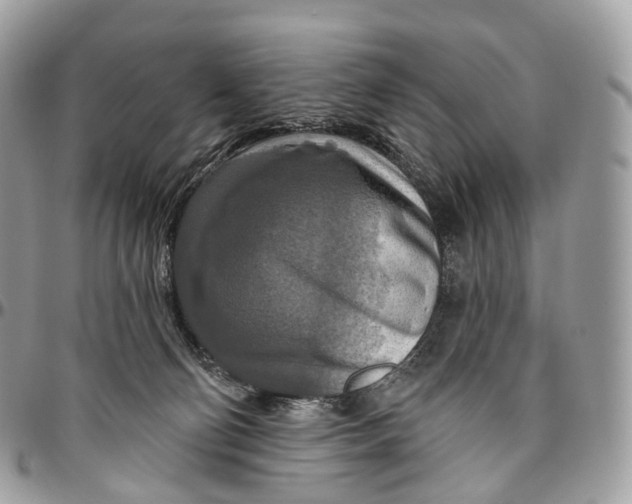 X0000096470130200802141707