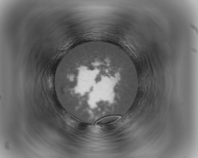 X0000096470131200802141707