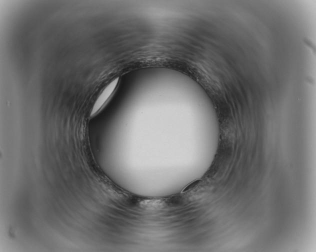 X0000096470133200802141707