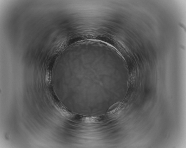 X0000096470134200802141707