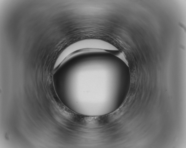 X0000096470136200802141707