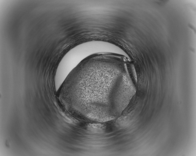 X0000096470137200802141707