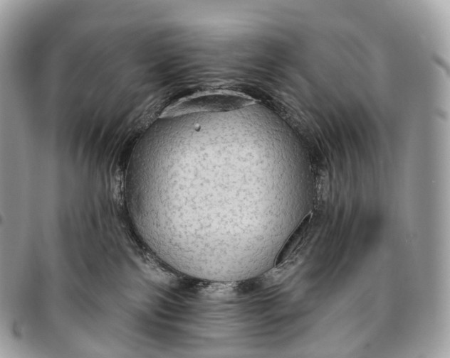 X0000096470138200802141707