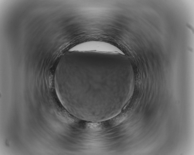 X0000096470139200802141707