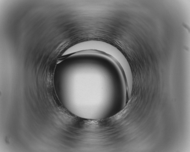 X0000096470140200802141707