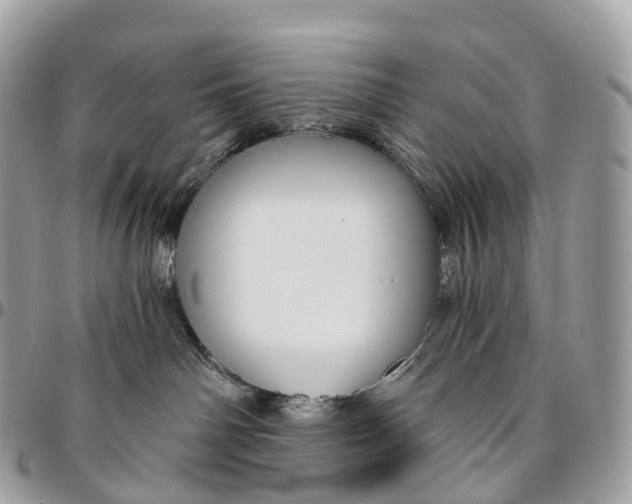 X0000096470142200802141707