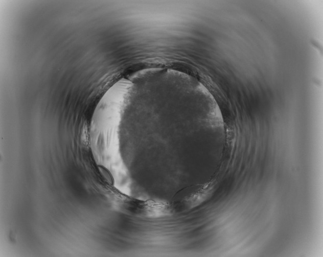 X0000096470143200802141707