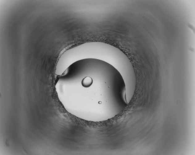 X0000096470144200802141706