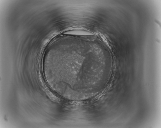 X0000096470145200802141706