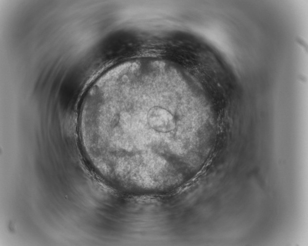 X0000096470146200802141706