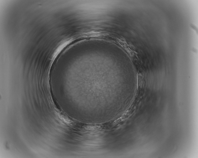 X0000096470147200802141706