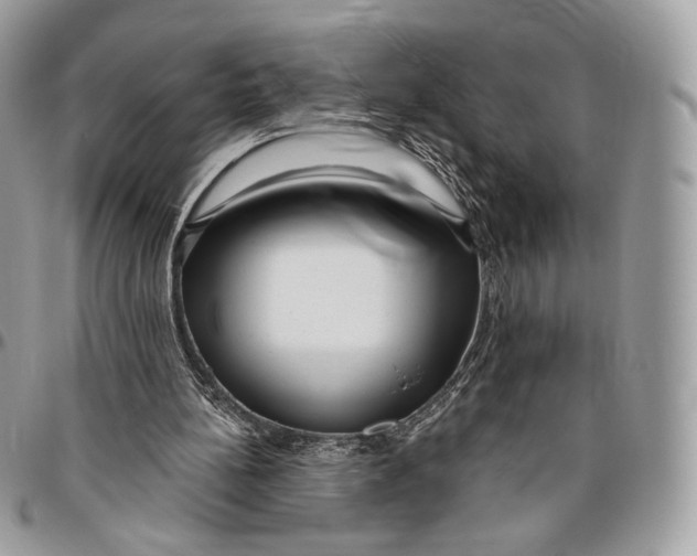 X0000096470148200802141706