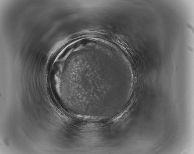 X0000096470149200802141706