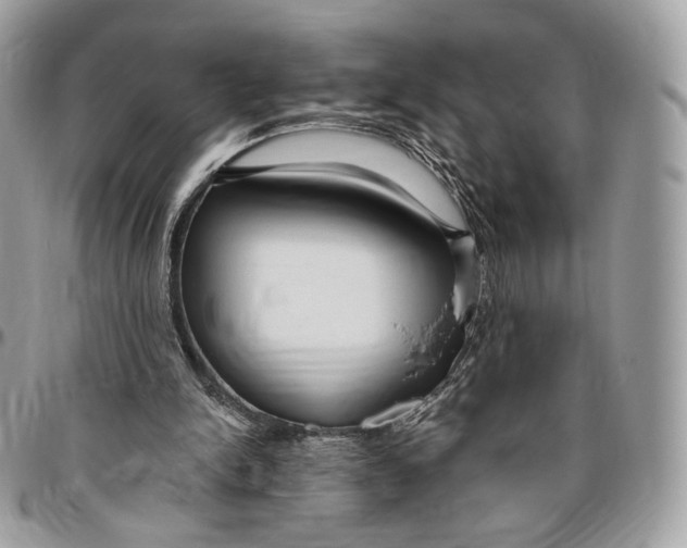 X0000096470150200802141706