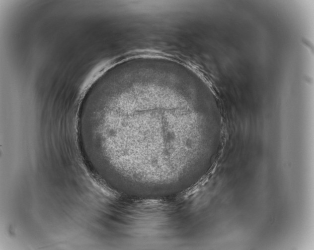 X0000096470151200802141706