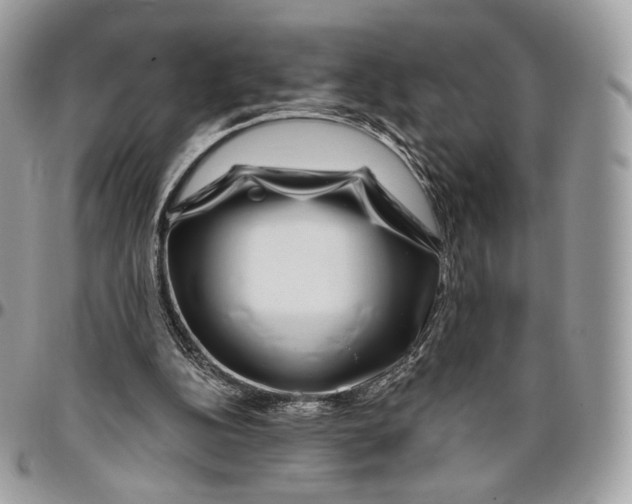 X0000096470152200802141706