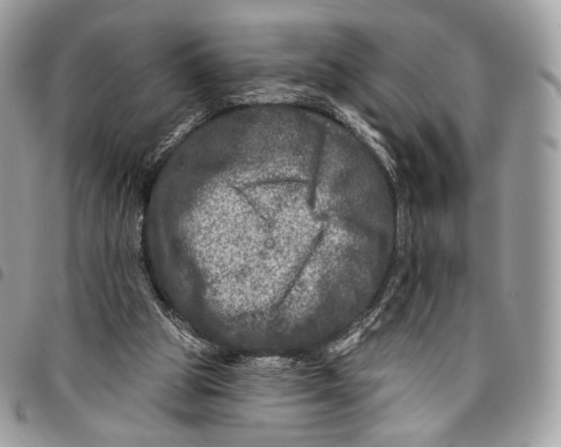 X0000096470153200802141706