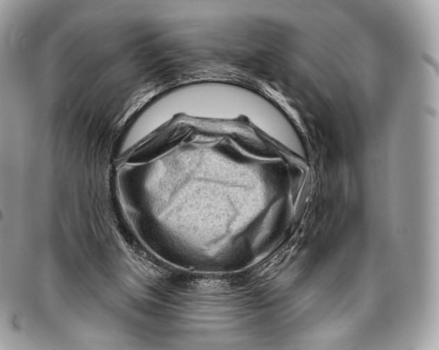 X0000096470154200802141706