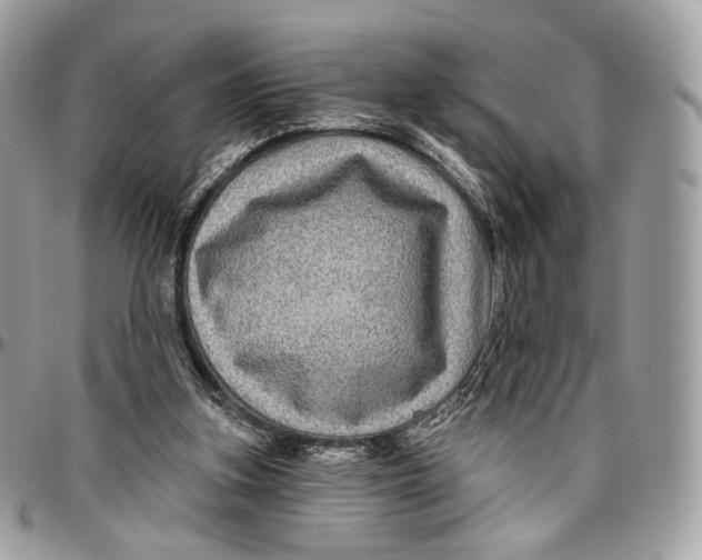 X0000096470155200802141706