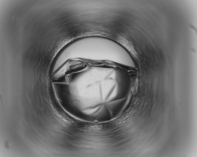 X0000096470156200802141706