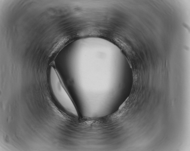 X0000096470158200802141706